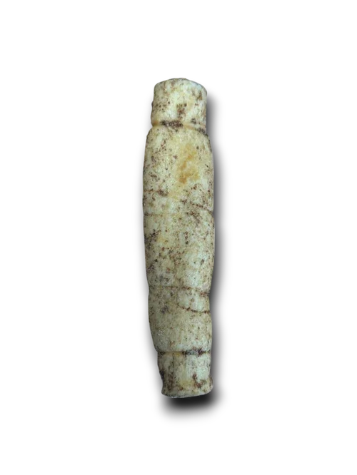 Ancient carved bone or ivory artifact with segmented design and weathered surface on black background