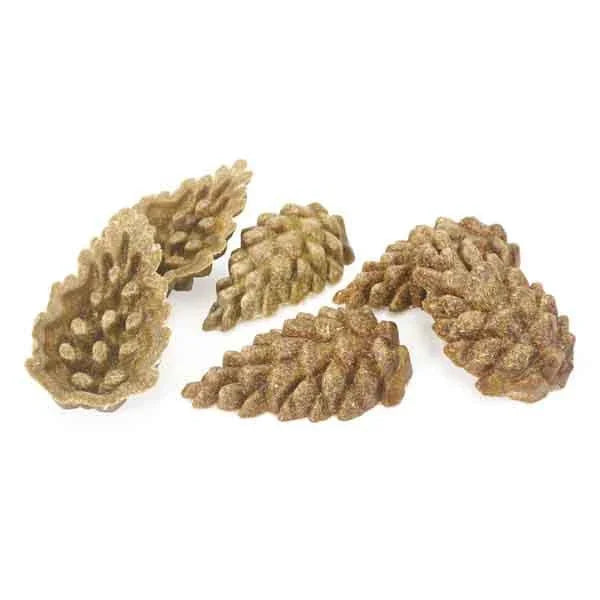 Close-up of brown pine cone-shaped objects with textured scales on white background
