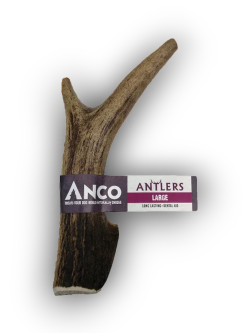 Large natural dog chew antler from ANCO for dental health and long-lasting treats