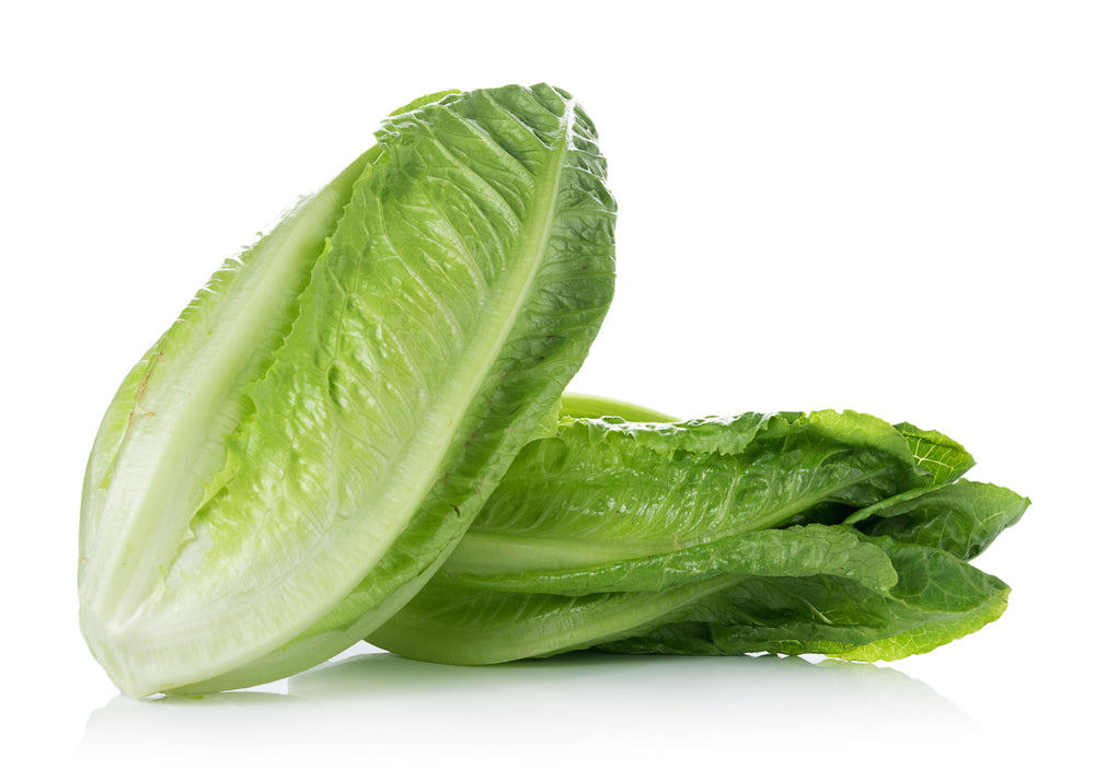 Cos Lettuce (500g)