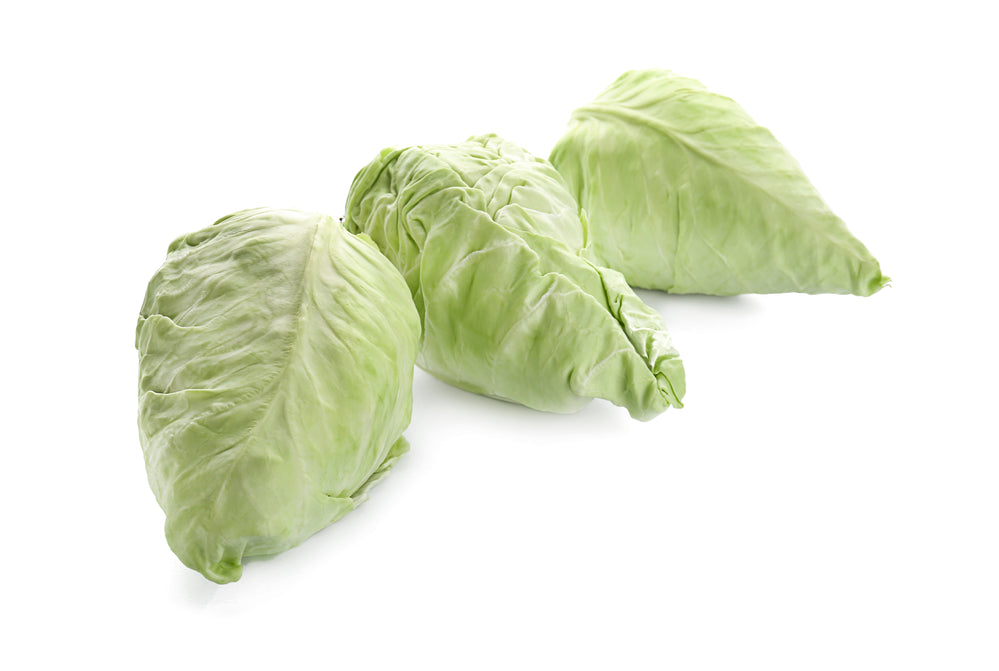 Hispi Cabbage