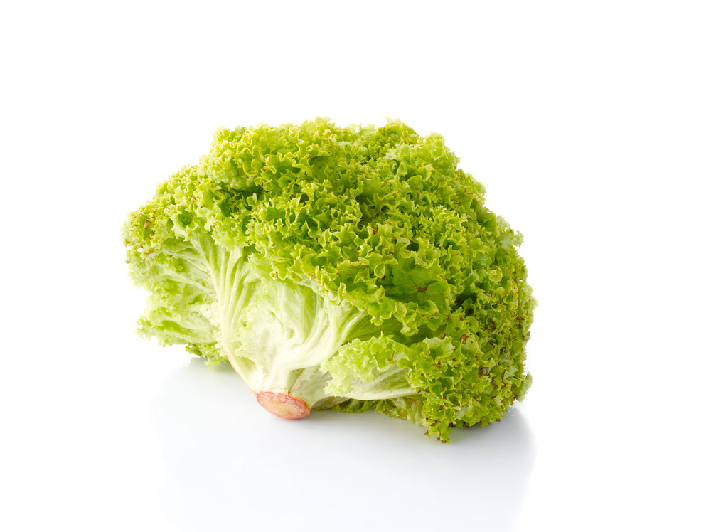 Lollo Bionda Lettuce (Loose-Leaf)
