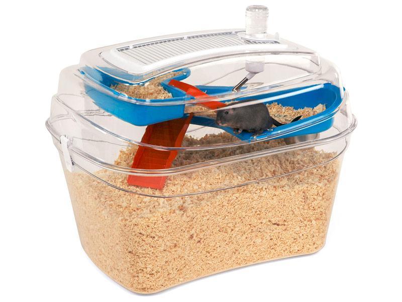 Abode - Gerbilarium - North East Pet Shop Rosewood