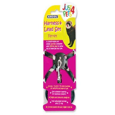 Ancol Ferret Harness And Lead Set - North East Pet Shop ANCOL