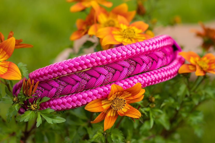 Wildflower Walks - Handmade Luxe Dog Collar