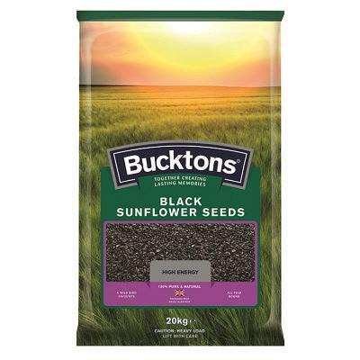 Bucktons Black Sunflower - North East Pet Shop Sunflower