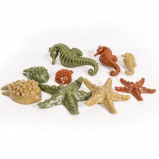 Elkwood Vegetable Sea Creatures + Seaweed Medium 6pc 160g - North East Pet Shop Elkwood