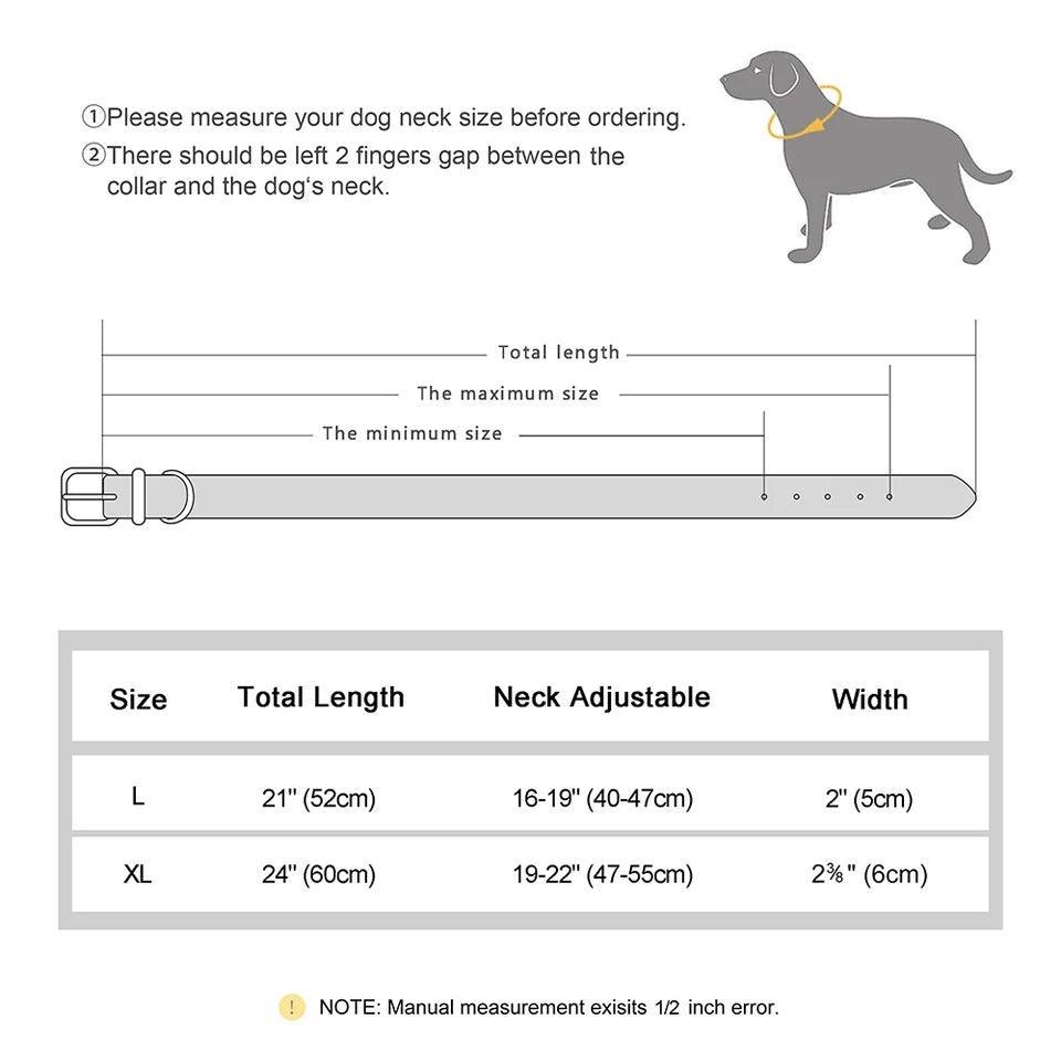 Genuine Leather Classic Collar - North East Pet Shop Dog Shack UK