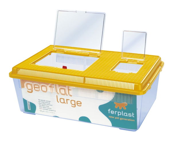 Geo Plastic Tank Flat Lge Mixed Colours 46.7x30.5x17.5cm - North East Pet Shop Ferplast