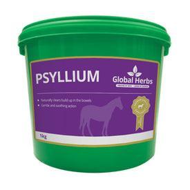 Global H Psyllium - North East Pet Shop Global Herbs