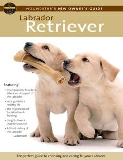 Houndstars Dvd New Owner Guide Labrador Retriever - North East Pet Shop Interpet