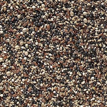 Johnston & Jeff Cage Bird Condition Type 44 - North East Pet Shop Johnston & Jeff