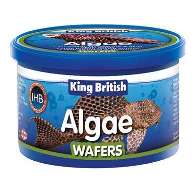 King B Algae Wafers (With IHB) 6x40g - North East Pet Shop King British