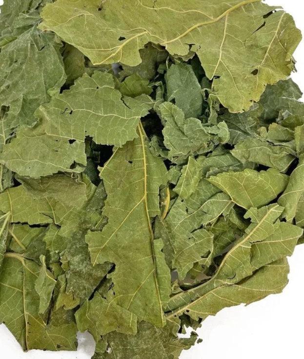 NEW Mulberry Leaves Grazing Bag - 100% Natural 200g - North East Pet Shop North East Pet Shop