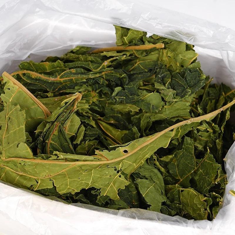 Papaya Leaf Chew Toy for Small Pets – Rabbit, Hamster, Chinchilla, Guinea Pig Treat & Teeth Cleaner - North East Pet Shop North East Pet Shop