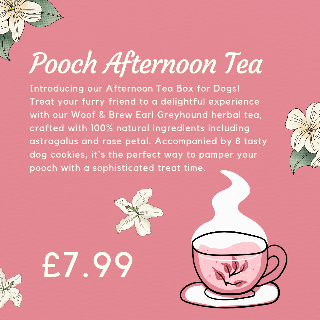 Pooch Afternoon Tea - North East Pet Shop Dog Shack UK