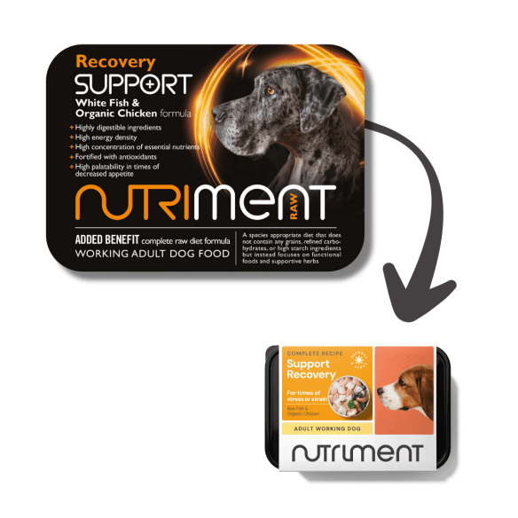 Recovery Support - 500g tub - North East Pet Shop Nutriment