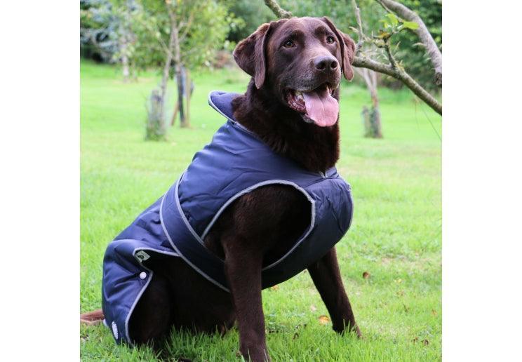 Stormguard Dog Coat Navy S - North East Pet Shop Ancol