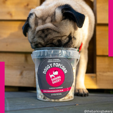 The Barking Bakery Limited Edition Turkey Flavored Popcorn - North East Pet Shop Barking Bakery