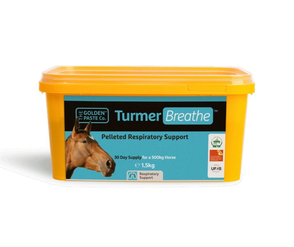 The Golden Paste Co TurmerBreathe Pellets 1.5kg - North East Pet Shop Golden Paste Company