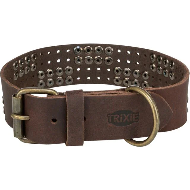 Trixie Rustic Greased leather collar Rivets, extra wide - North East Pet Shop Trixie