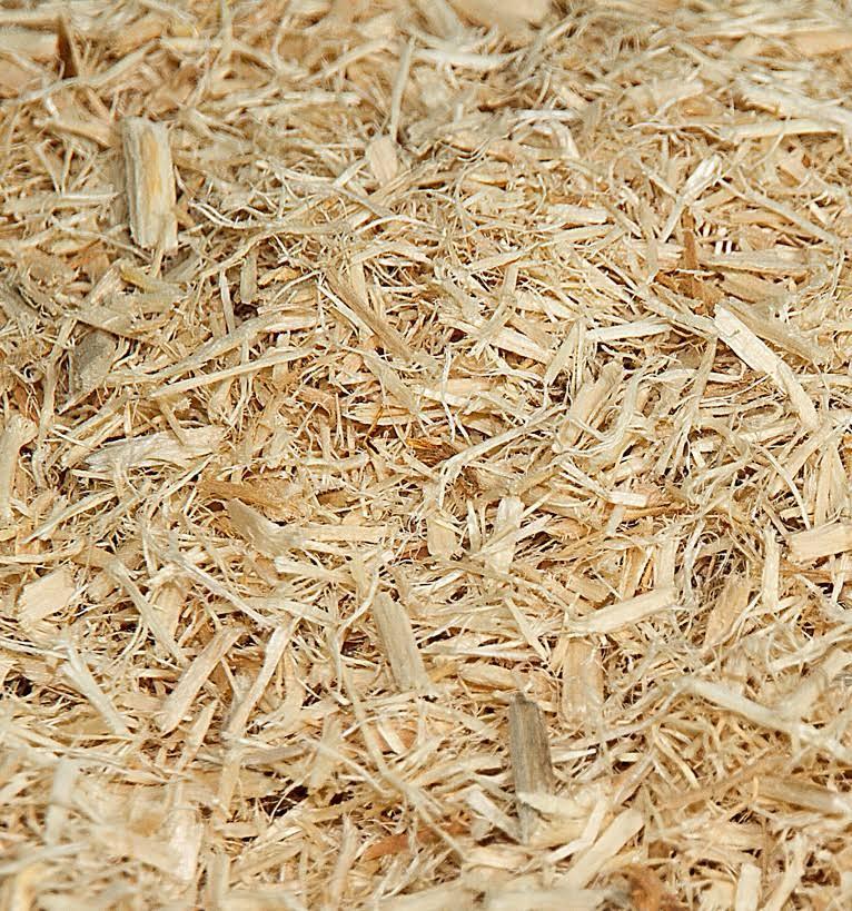 Rapeseed 20kg Flaked Wood Bedding - North East Pet Shop North East Pet Shop