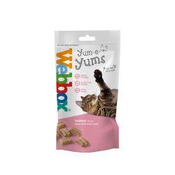 Webbox Cat Yum-e-yums Salmon - North East Pet Shop Webbox