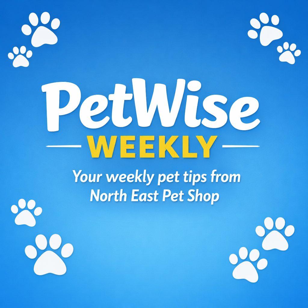 PetWise Weekly – Week 1