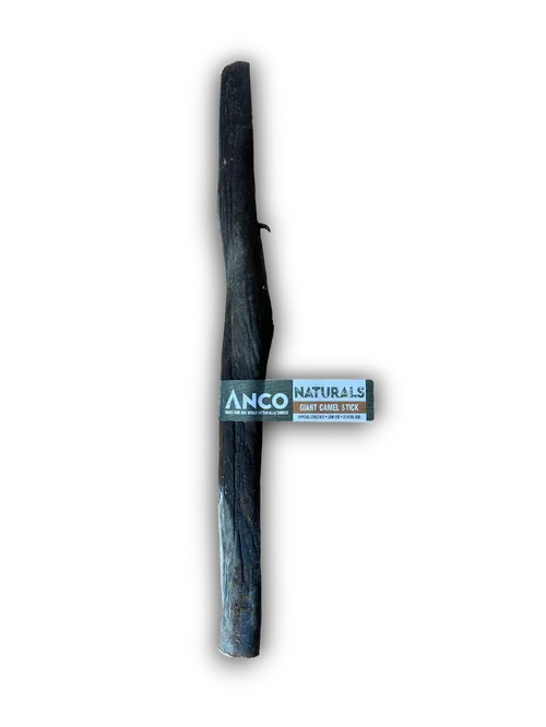 Anco Naturals giant camel stick dog chew on black background