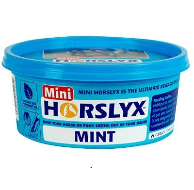 Horslyx Minilick Mint (12x650g) - North East Pet Shop Horslyx