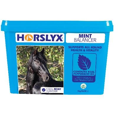Horslyx Mint Lick Refill - North East Pet Shop Horslyx