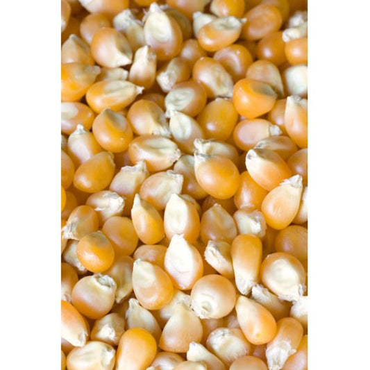 Whole Maize 25kg - Masham Micronized Feeds