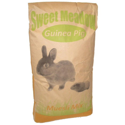 Sweet Meadow Golden Guinea Pig - North East Pet Shop Sweet Meadow
