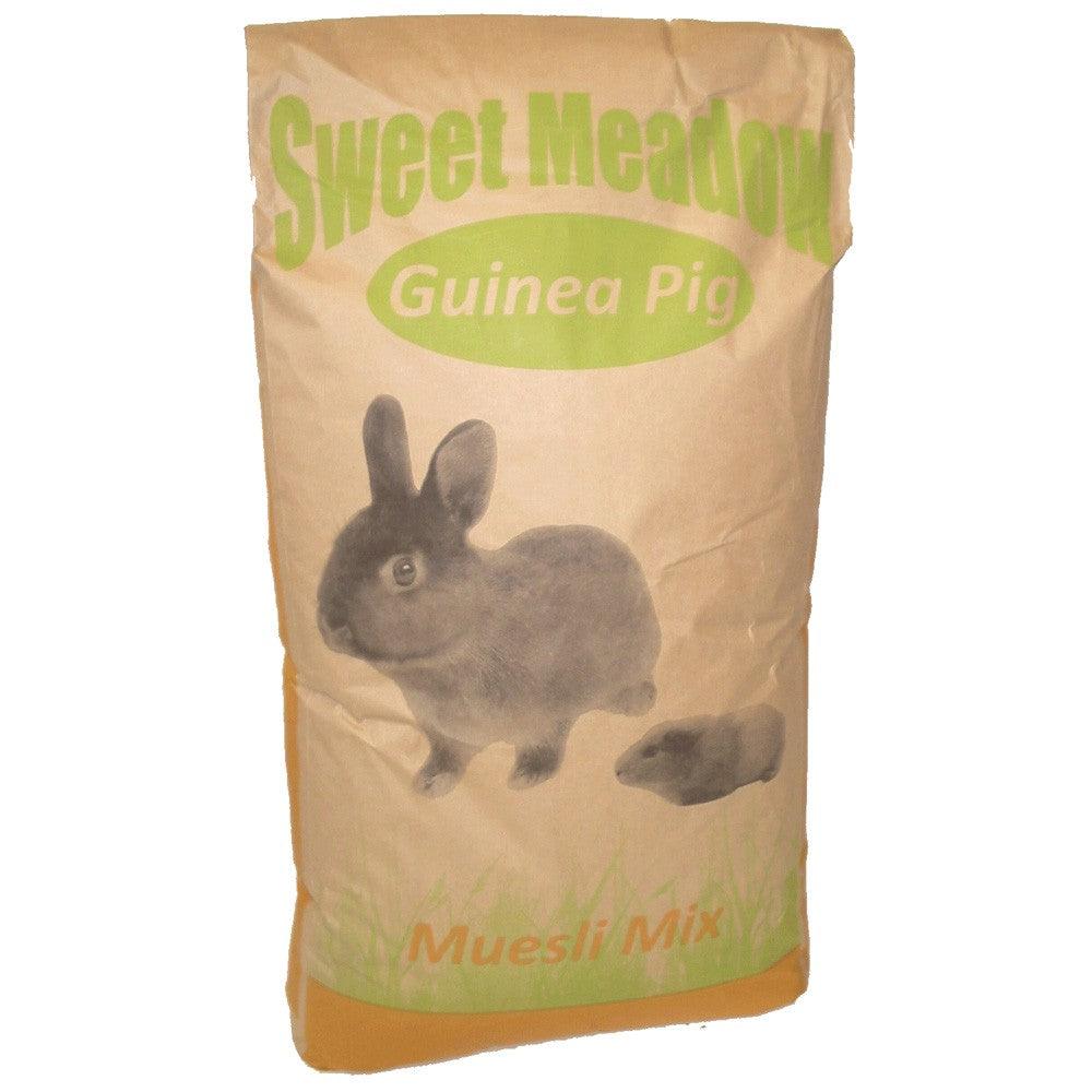 Sweet Meadow Golden Guinea Pig - North East Pet Shop Sweet Meadow