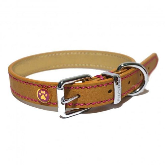 Lux Leather Tan Collar 10-14" x 1/2" - North East Pet Shop Rosewood