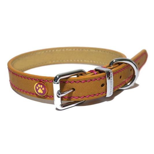 Lux Leather Tan Collar 18-22" x 1.5" - North East Pet Shop Rosewood