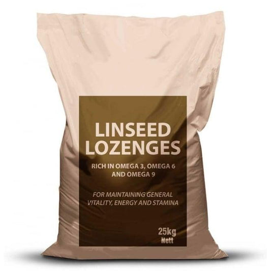 Linseed Lozenges - North East Pet Shop Linseed
