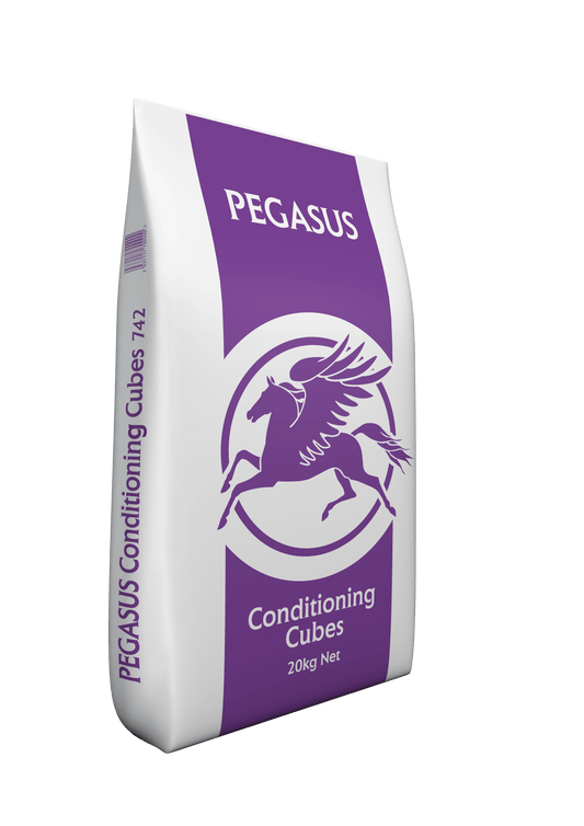 Pegasus Conditioning Cubes - North East Pet Shop Pegasus