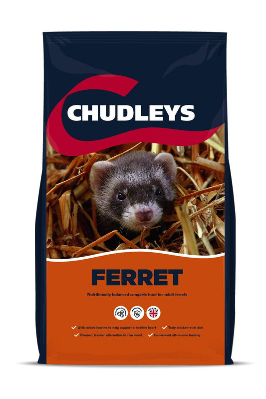 Chudleys Ferret - North East Pet Shop Chudleys
