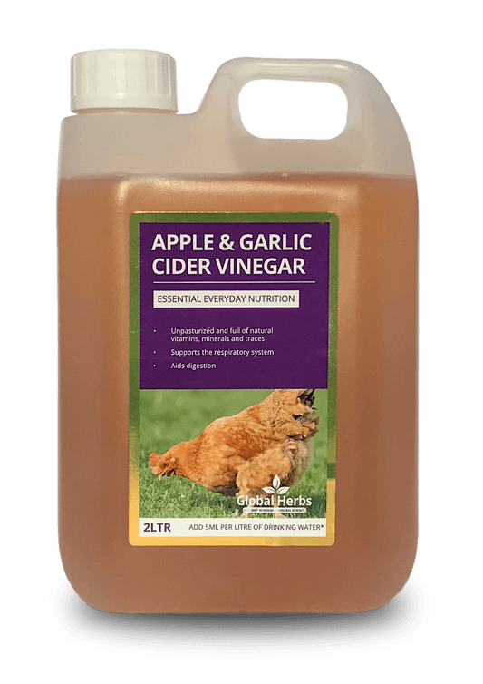 Global H Apple & Garlic Cider Vinegar(C) - North East Pet Shop Global Herbs