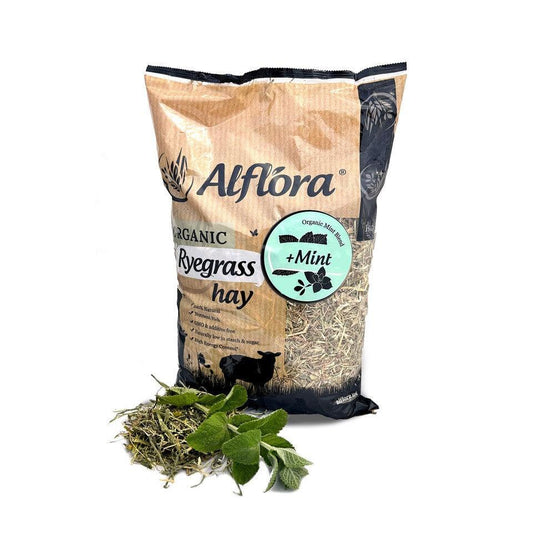 Alflora Organic Ryegrass Hay Mint 1kg - North East Pet Shop Alflora