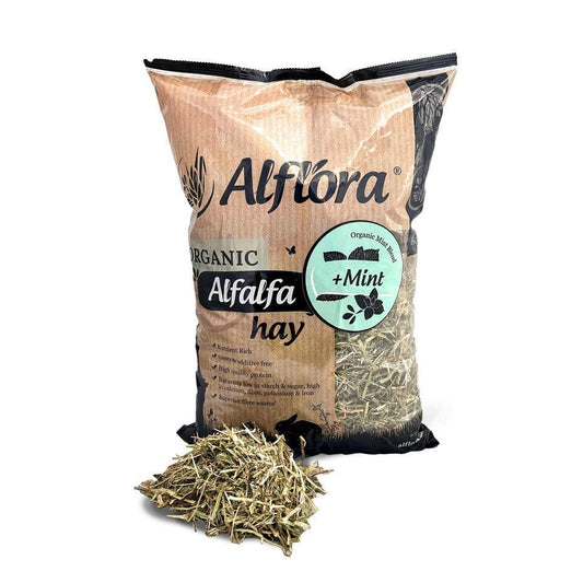 Alflora Organic Alfalfa Hay Mint 1kg - North East Pet Shop Alflora