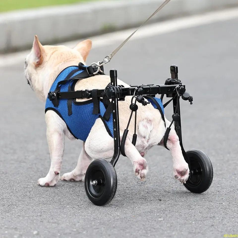 Small Dog Wheelchair