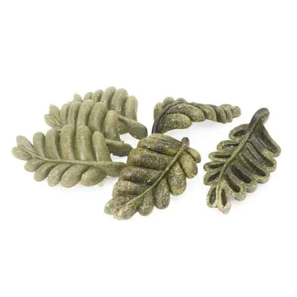 Green leaf-shaped pasta with ridged texture on white background