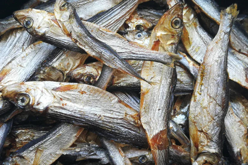 Close-up of dried sprats with shiny, silver-brown scales piled together as pet food