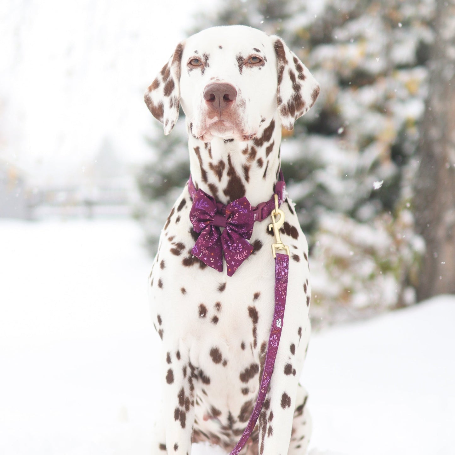 Wyld Cub - Dog Sailor Bow Tie: Chiswick Fig