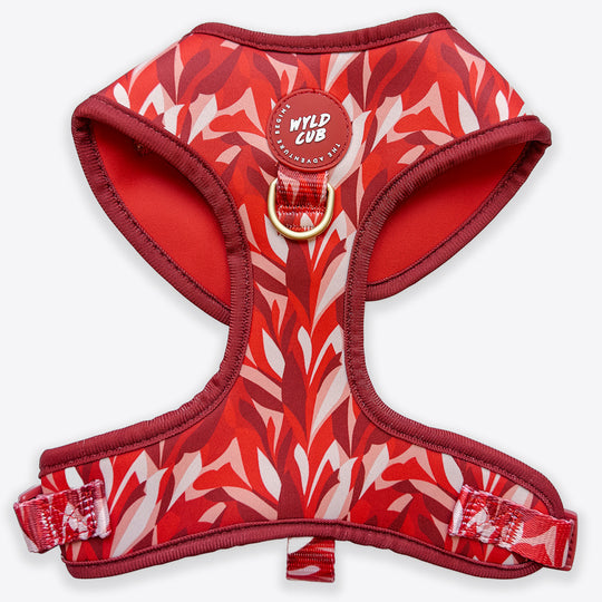 Wyld Cub - Adjustable Dog Harness: Kew Acer