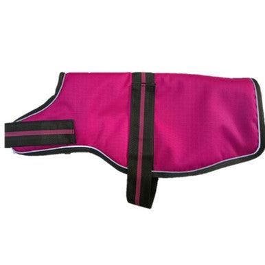 Animate Dachshund Padded Raspberry Dog Coat with adjustable belly strap 13Inch