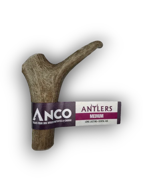 Medium NCO natural antler dog chew treat with long-lasting dental aid label