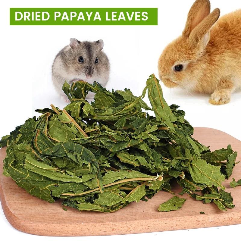 30g Papaya Leaf Chew Toy for Small Pets – Rabbit, Hamster, Chinchilla, Guinea Pig Treat & Teeth Cleaner - North East Pet Shop North East Pet Shop 